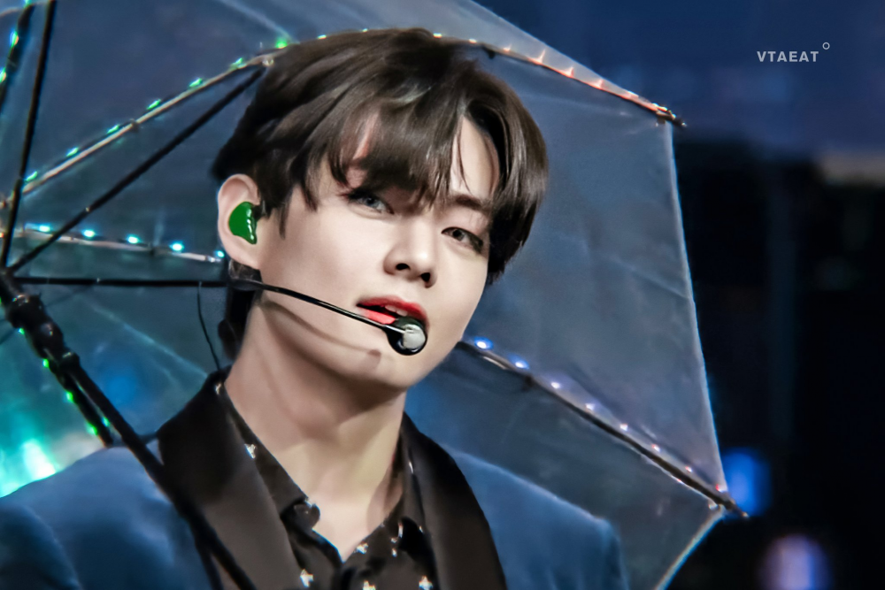 BTS V captivated fans with his unique vocal tone and