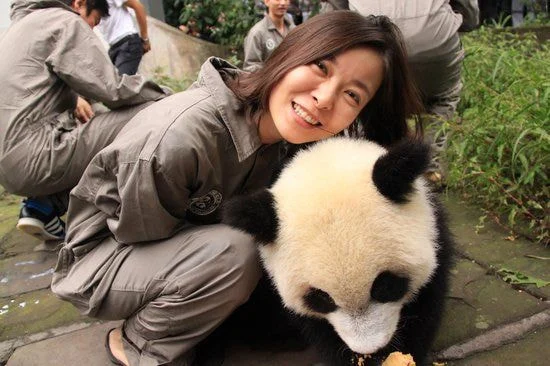 Корейские нетизены встали на защиту BLACKPINK, приводя фотографии других знаменитостей с пандами
