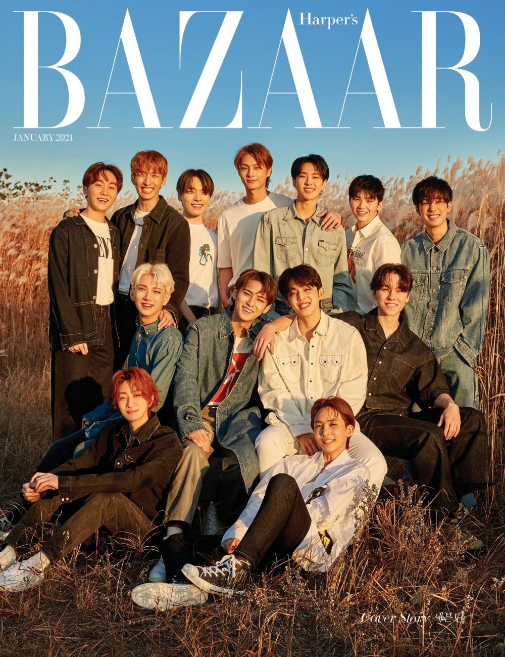 Seventeen фандом как называется фото 14