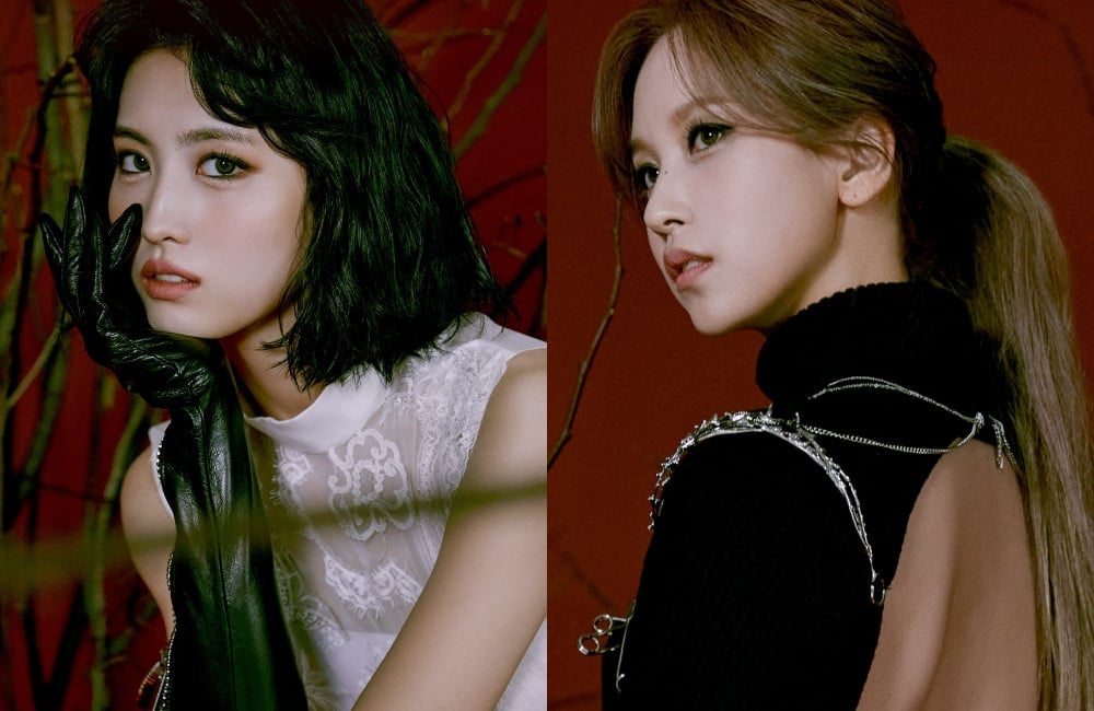 Twice Reveals 'Cry For Me' Concept Teaser Photos For Members Momo And Mina  | Allkpop
