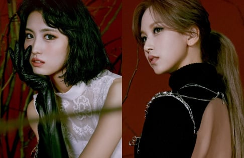 TWICE, Momo, Mina