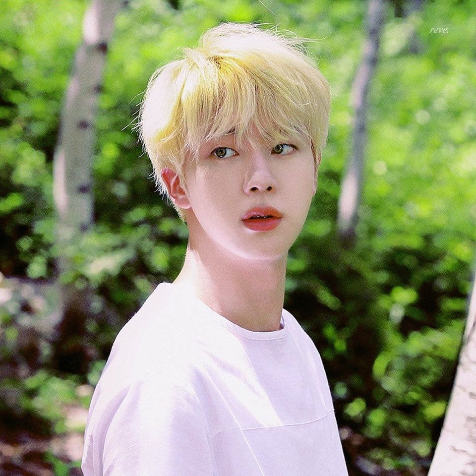 Seokjin Hair Timeline  ARMYs Amino