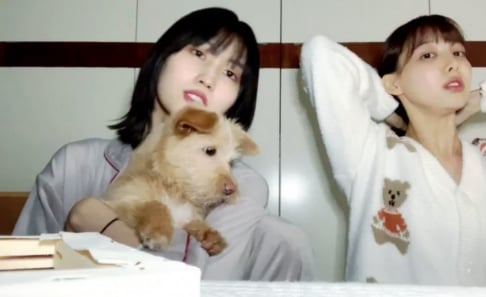 TWICE, Nayeon, Momo