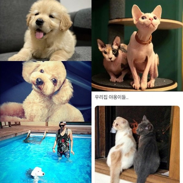 Актера Пак Ын Сока из дорамы «Пентхаус» обвинили в жестоком обращении с домашними животными