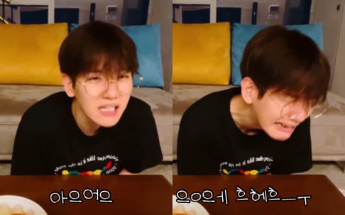 EXO, Baekhyun