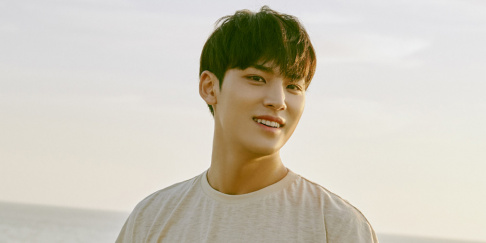 Seventeen, Mingyu