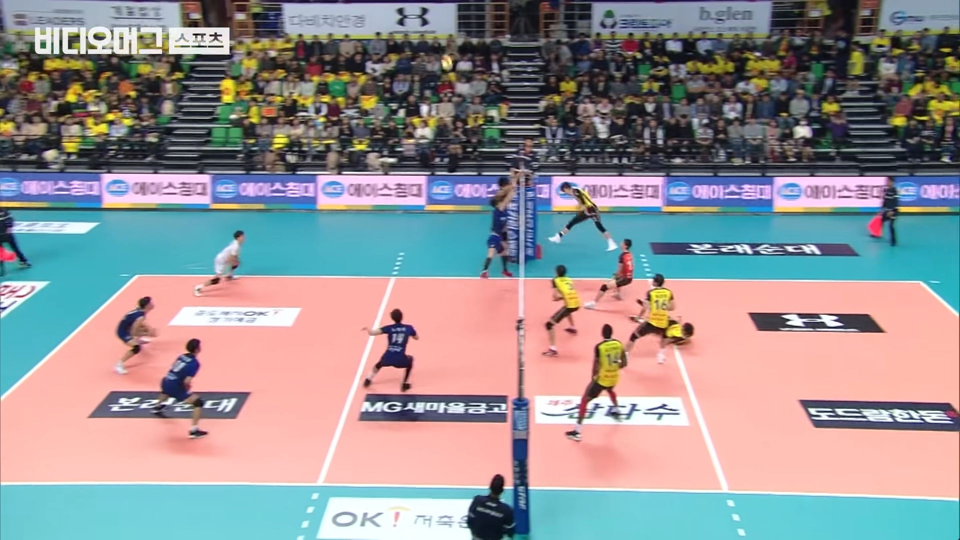 Video from a Korean volleyball match goes viral as the players display