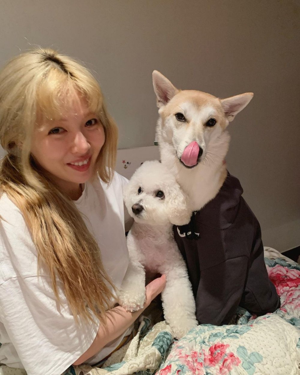 ХёнА и Dawn уютно провели время со своими собаками