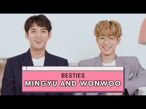 Seventeen, Mingyu, Wonwoo