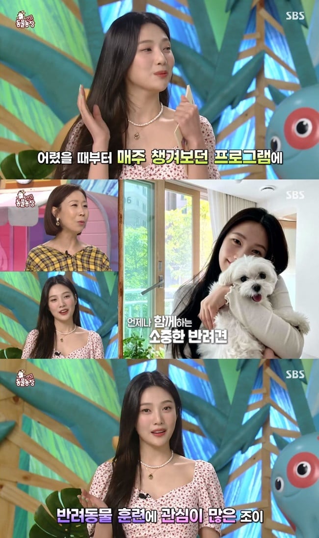 Red Velvet's Joy makes first MC appearance on SBS show 'TV Animal Farm' |  allkpop