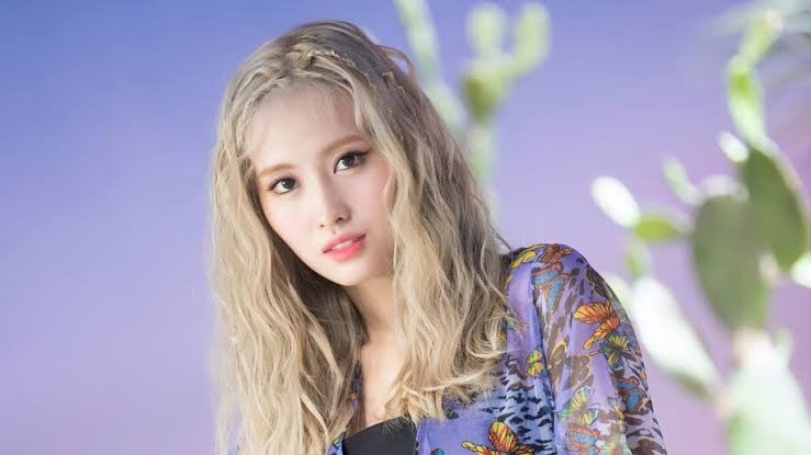 Momo Talks About How Twice S Mv Teasers Might Spoil A Bit Too Much Of The Final Music Video Allkpop