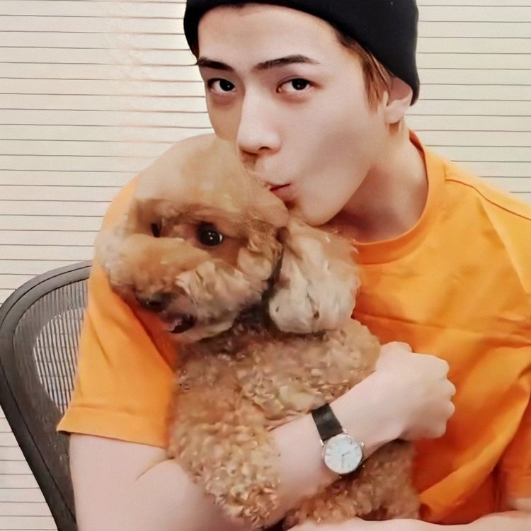 EXO's Sehun is chosen as the Idol who has the best chemistry with his ...