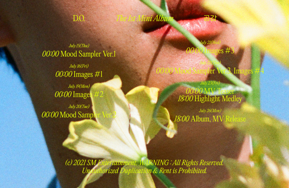 [Соло-релиз] D.O альбом "Sympathy": MV "Rose"