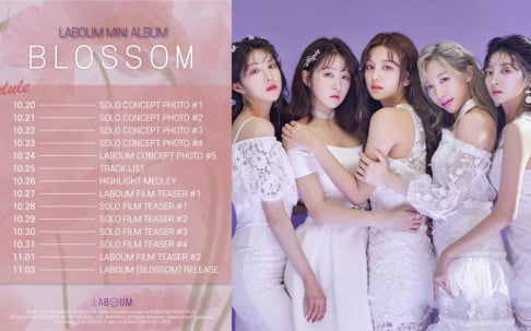 LABOUM