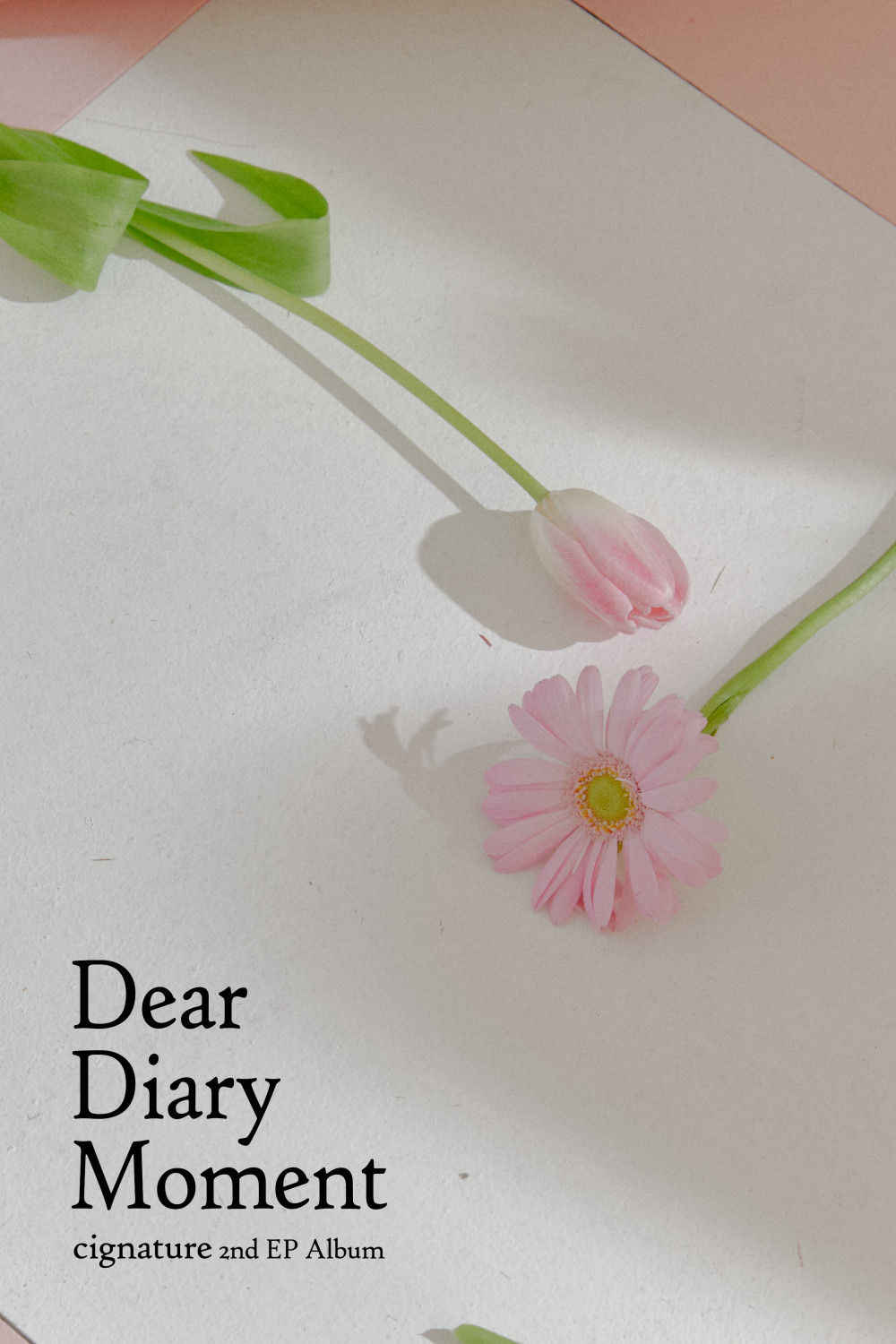 [Камбэк] Cignature сингл «Dear Diary Moment»: фото-тизер