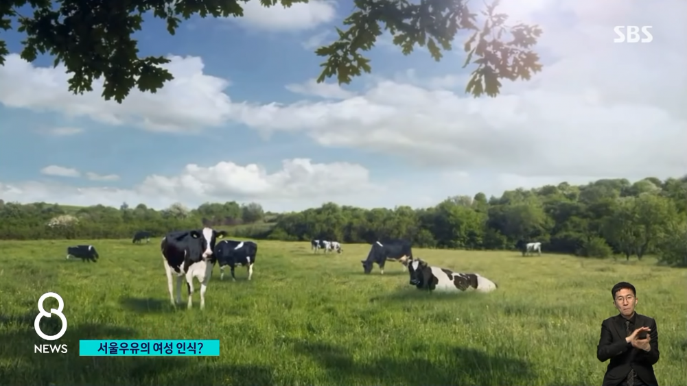 Корейская реклама, в которой женщины превратились в коров, вызвала шквал критики