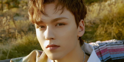 Seventeen, Vernon