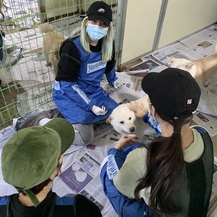 Сестры Чонён из TWICE и Гон Сын Ён сделали пожертвование приюту для животных