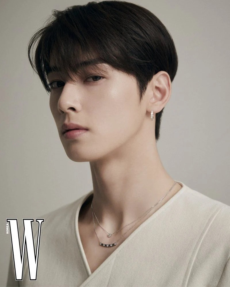 Cha Eun-woo's luxury jewelry pictorial becomes all the rage online