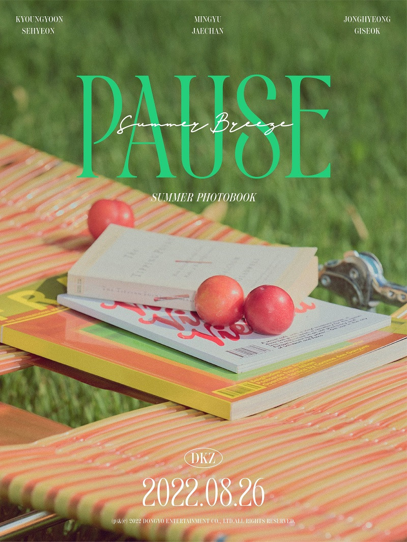 DKZ представили тизеры для предстоящей летней фотокниги «Pause»
