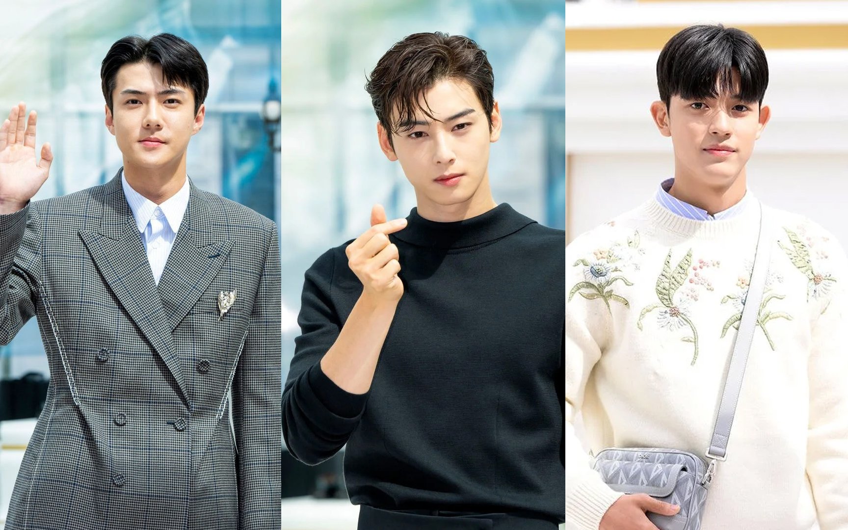 Cha Eun Woo, Sehun, and Park Solomon exude their handsomeness at the DIOR  event