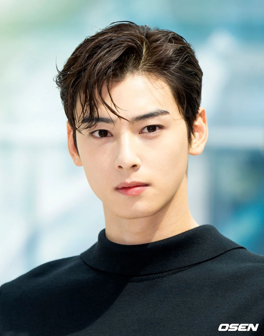 Cha Eun-woo: Cha Eun-woo and Sehun graced the Dior's Men Fall 2023 show  with their presence