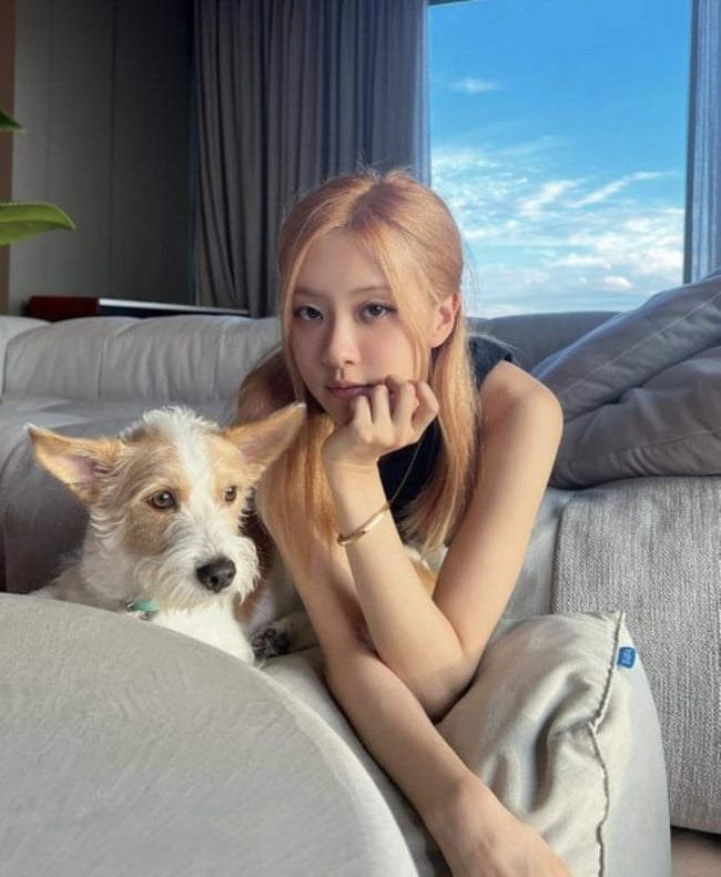 Even Rosé's dog wears Tiffany & Co, Rosé & her dog Hank show similarly  elegant auras