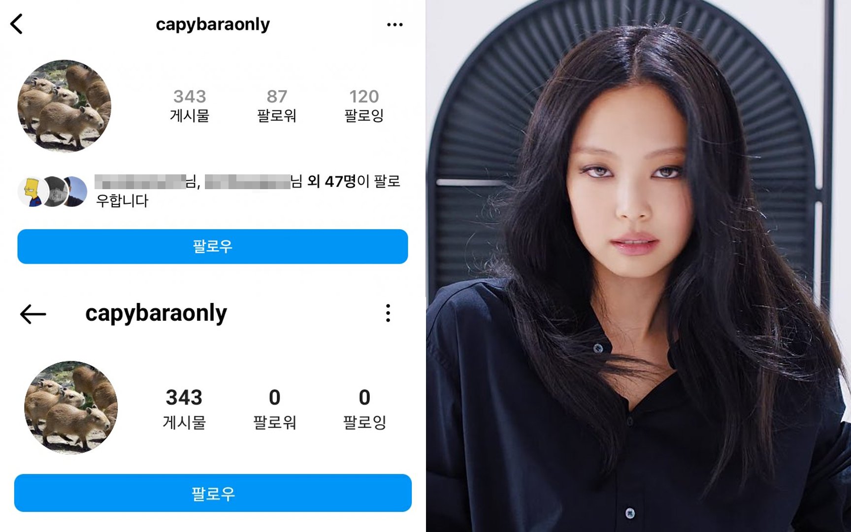 Blackpink S Jennie Blocks All Followers On Her Alleged Private Instagram Account Alleged Leaker Revealed Allkpop