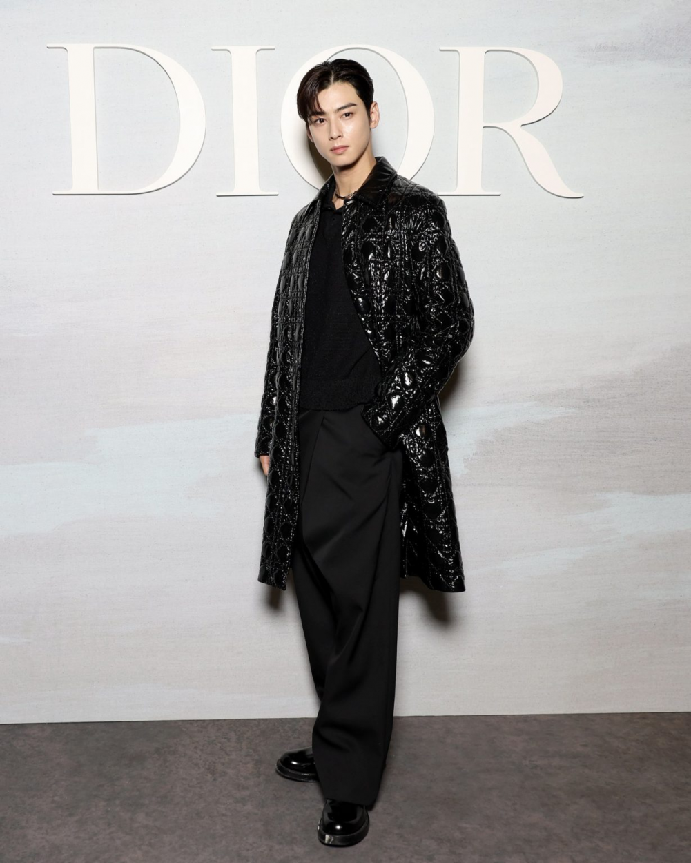 ASTRO's Cha Eunwoo Is Collecting Celebrities Like Pokémon Cards At “Dior  Men's Fall 2023 Collection” Event - Koreaboo