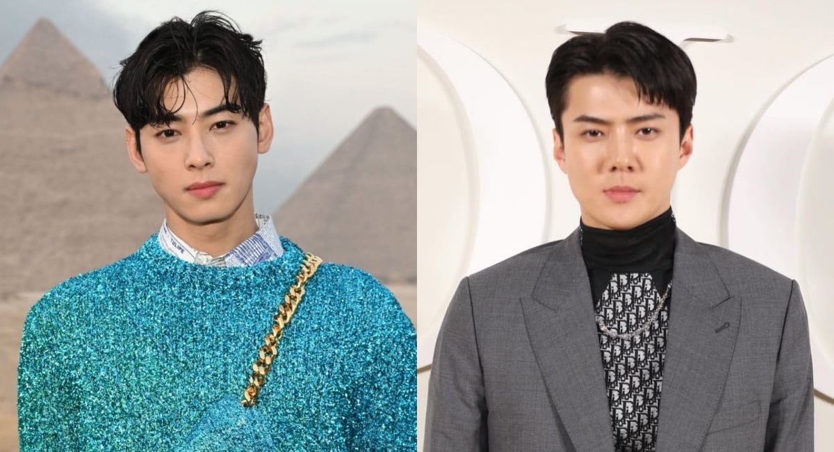Cha Eun-woo: Cha Eun-woo and Sehun graced the Dior's Men Fall 2023