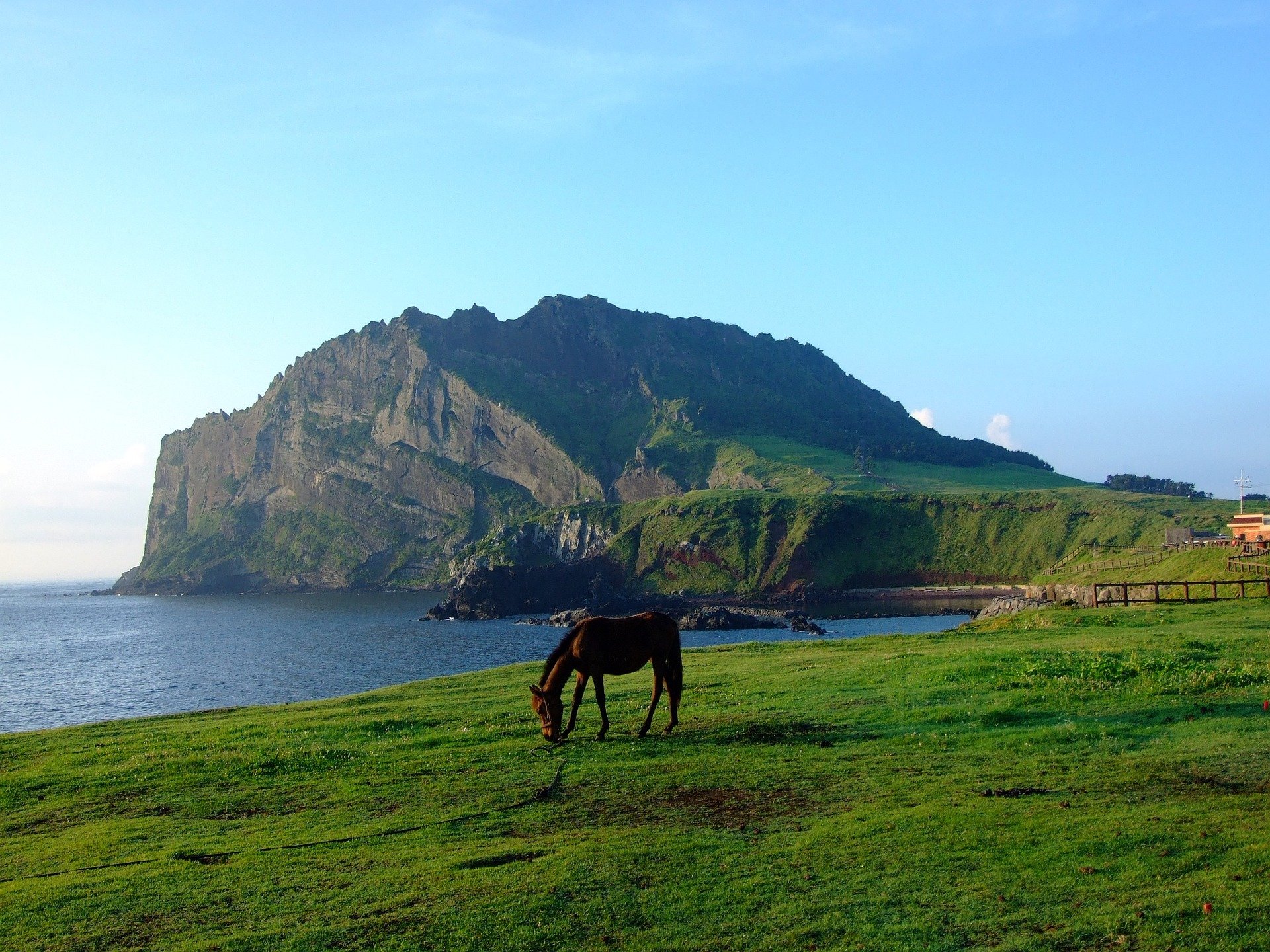 K-pop stars born in Korea’s beautiful Jeju Island