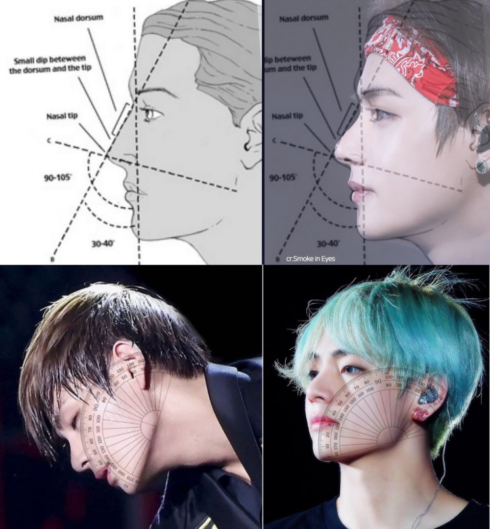 A renowned Japanese plastic surgeon has revealed that BTS's V (Kim  Taehyung) has the ideal face that men desire for his perfect 'E-Line' and  facial symmetry