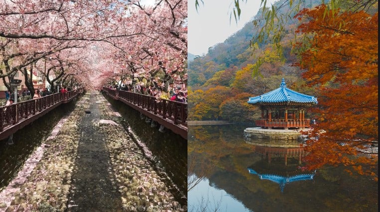 Discover the Hidden Gems of South Korea: Uncover the Most Underrated Tourist Sites!