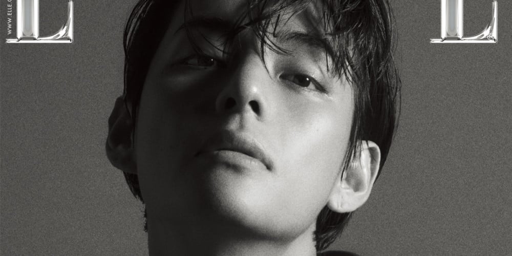 BTS's V joins Park Bo Gum as a global 'Celine Boy' on the cover of