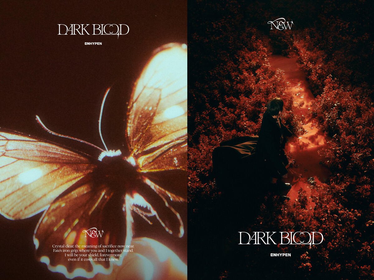 ENHYPEN reveal final mood board images for their upcoming album 'DARK  BLOOD