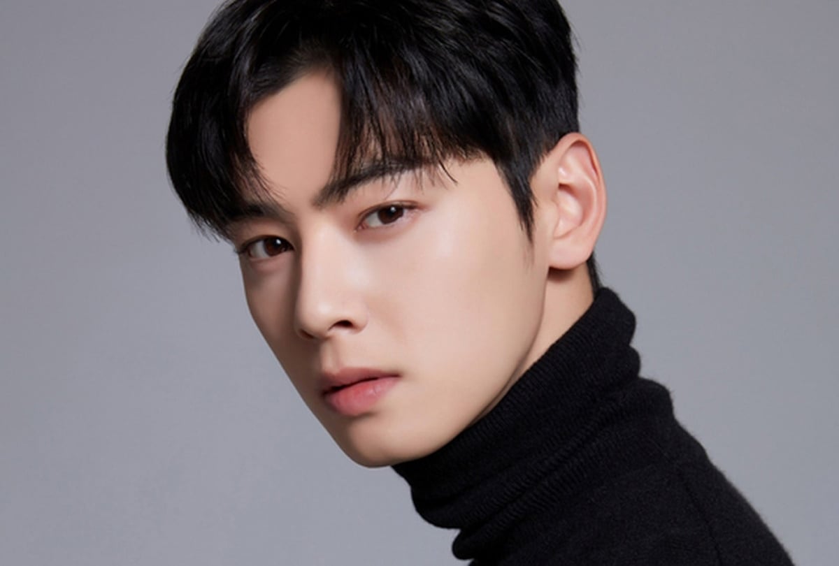 my drama fix — Cha Eun Woo x Louis Vuitton collaboration for W