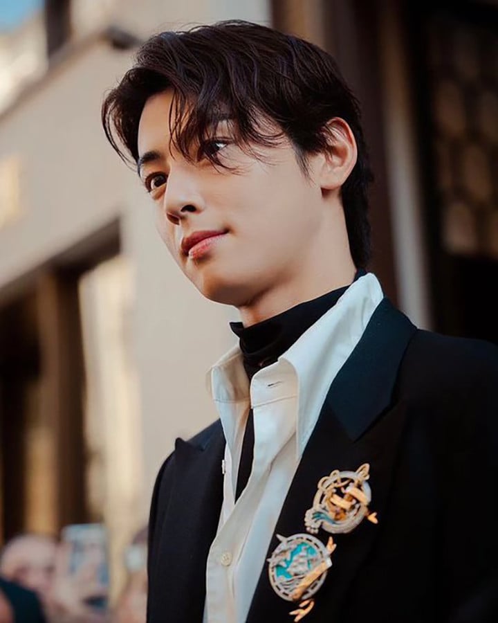 cha eun woo chaumet