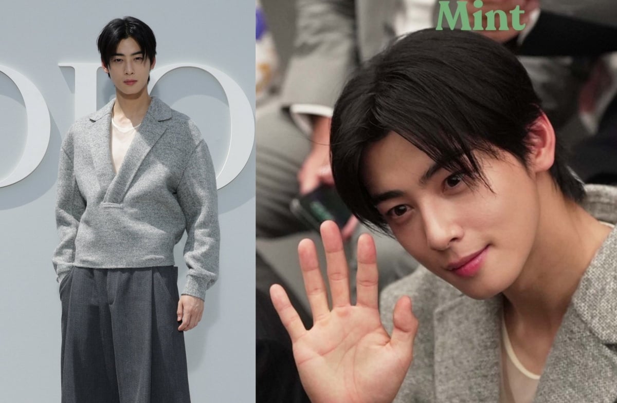 Viral Takes on X: Cha Eunwoo will be attending Dior Men's 2024 S/S  Collection fashion show in Paris.  / X