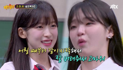 Oh My Girl, Arin, Seunghee