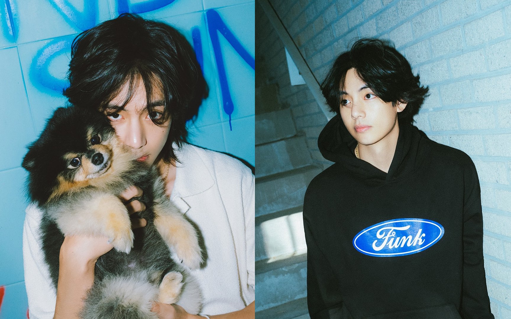 V's Rainy Days Music Video Features His Adorable Dog Yeontan