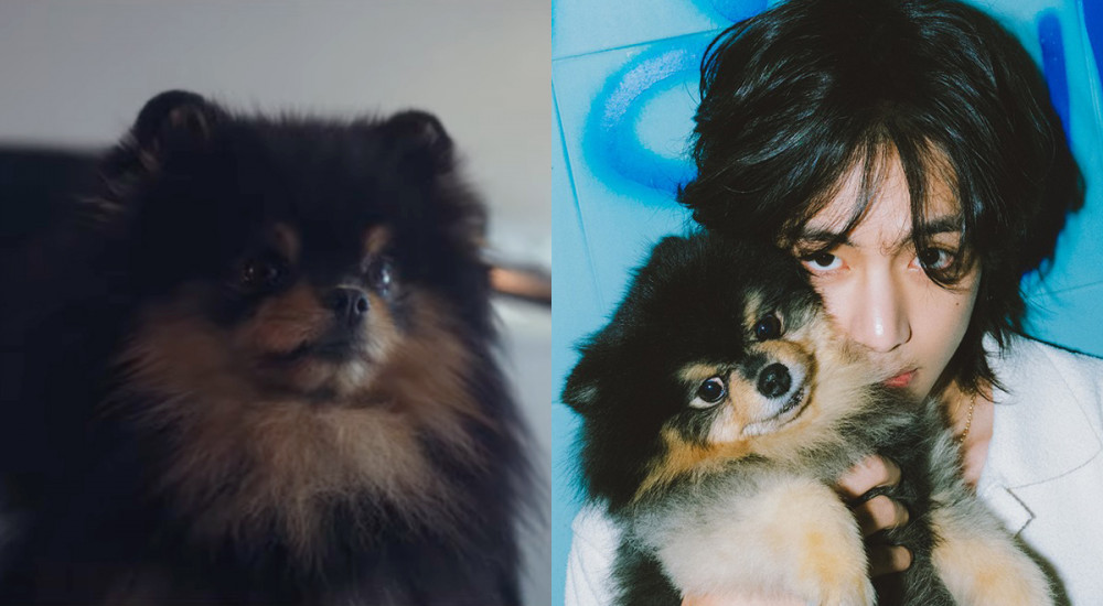 V of BTS and Yeontan give artistic touch in the cozy 'Rainy Days