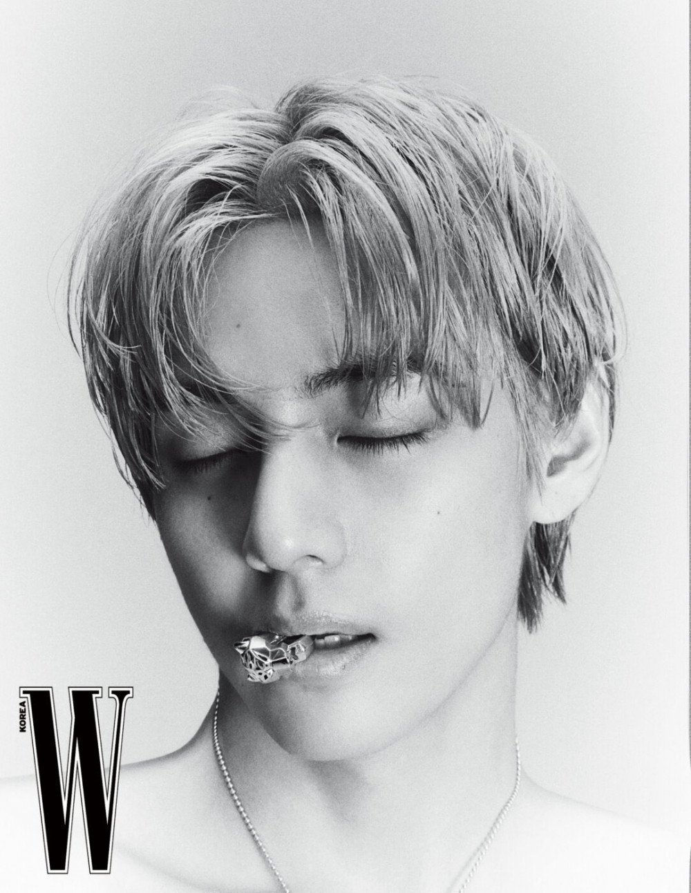 BTS's V (Kim Taehyung) exudes seductive glamour adorned in 'Panthere de  Cartier' jewelry for 'W Korea' magazine