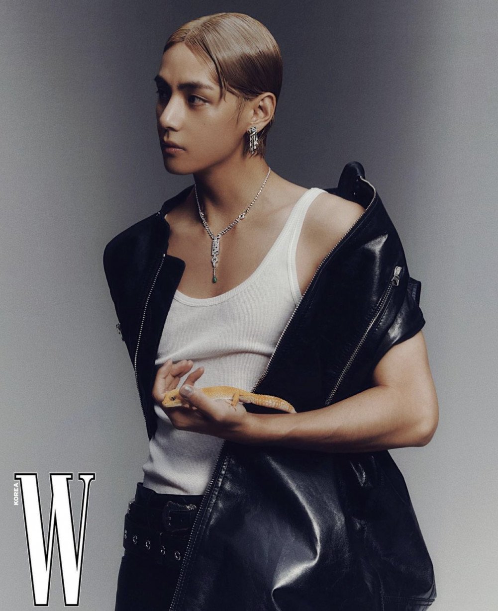 BTS's V (Kim Taehyung) exudes seductive glamour adorned in 'Panthere de  Cartier' jewelry for 'W Korea' magazine