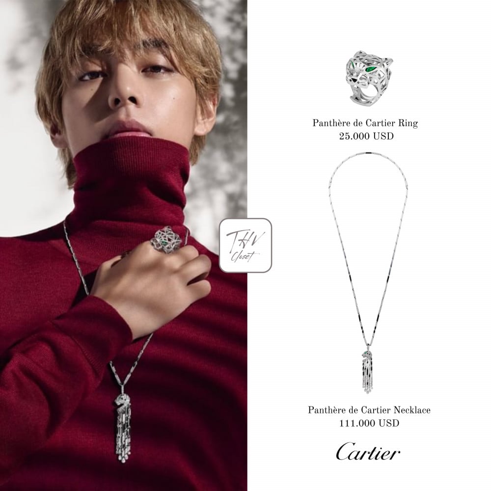 Kim Taehyung (V) embodies the hypnotism and sophistication of Panthere de  Cartier