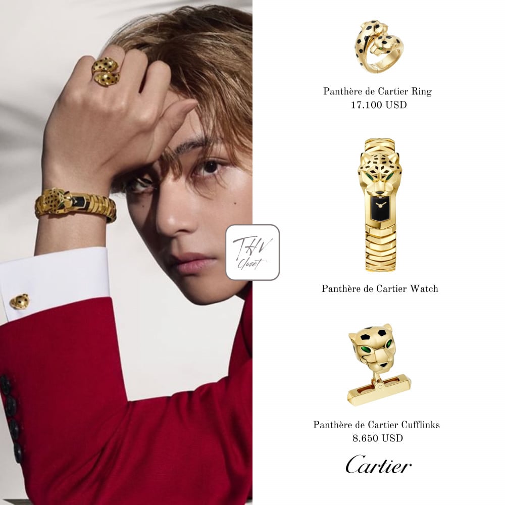 Kim Taehyung (V) embodies the hypnotism and sophistication of Panthere de  Cartier