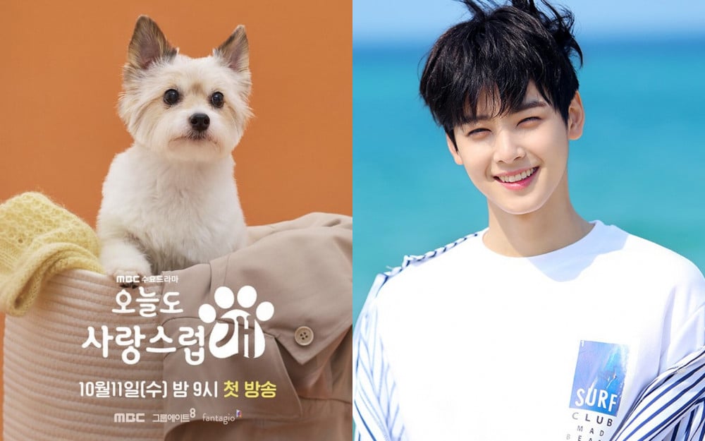 Astro's Cha Eun-Woo Kisses a Dog in A Good Day to Be a Dog K-Drama: 'Hard  to Focus' Astro's Cha Eun-Woo Kisses a Dog in A Good Day to Be a Dog