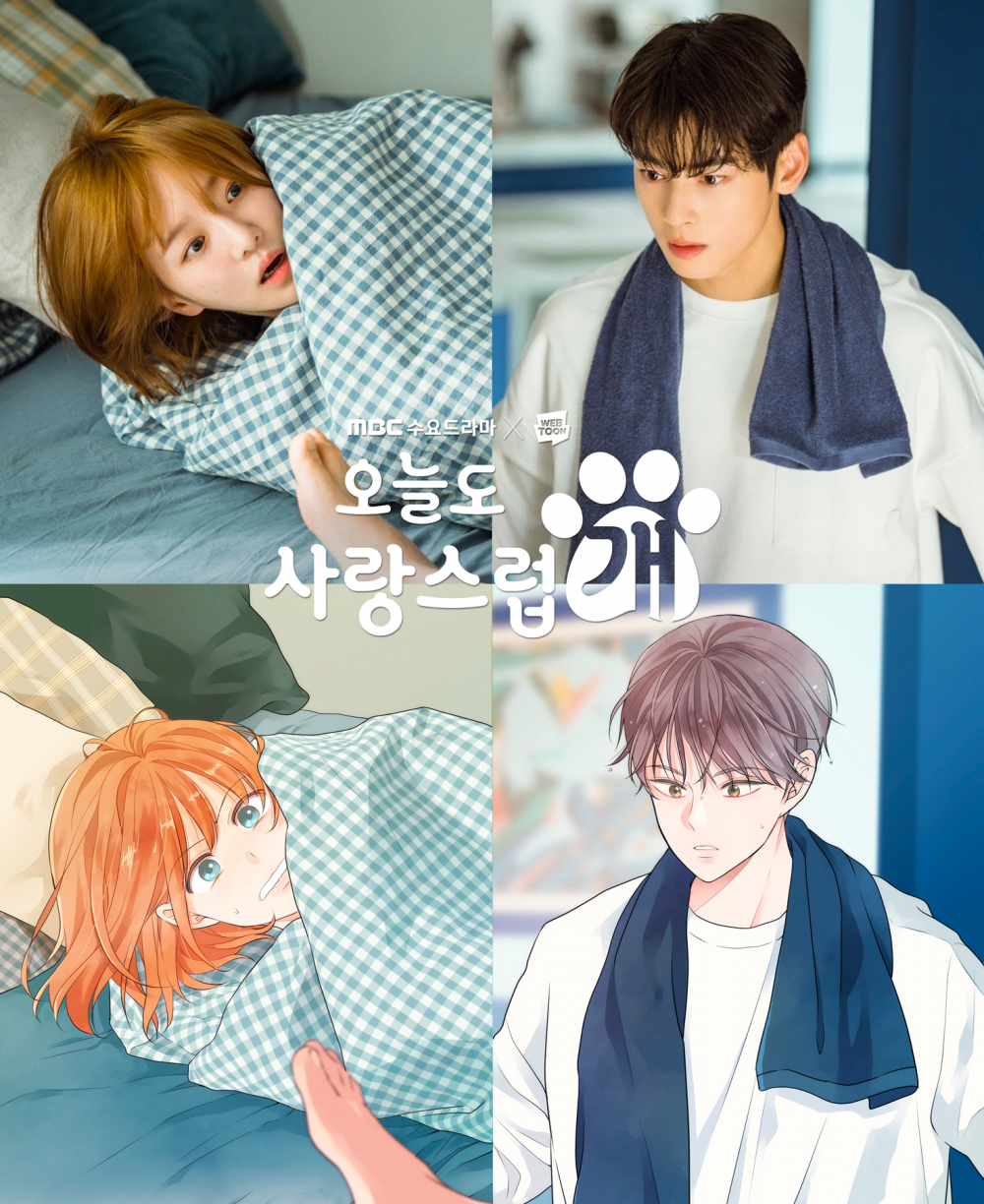 A Good Day to Be a Dog Episode 4 Trailer Teases Cha Eun Woo, Park Gyu  Young's Romance