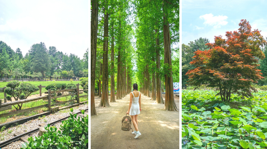 Spring in Korea