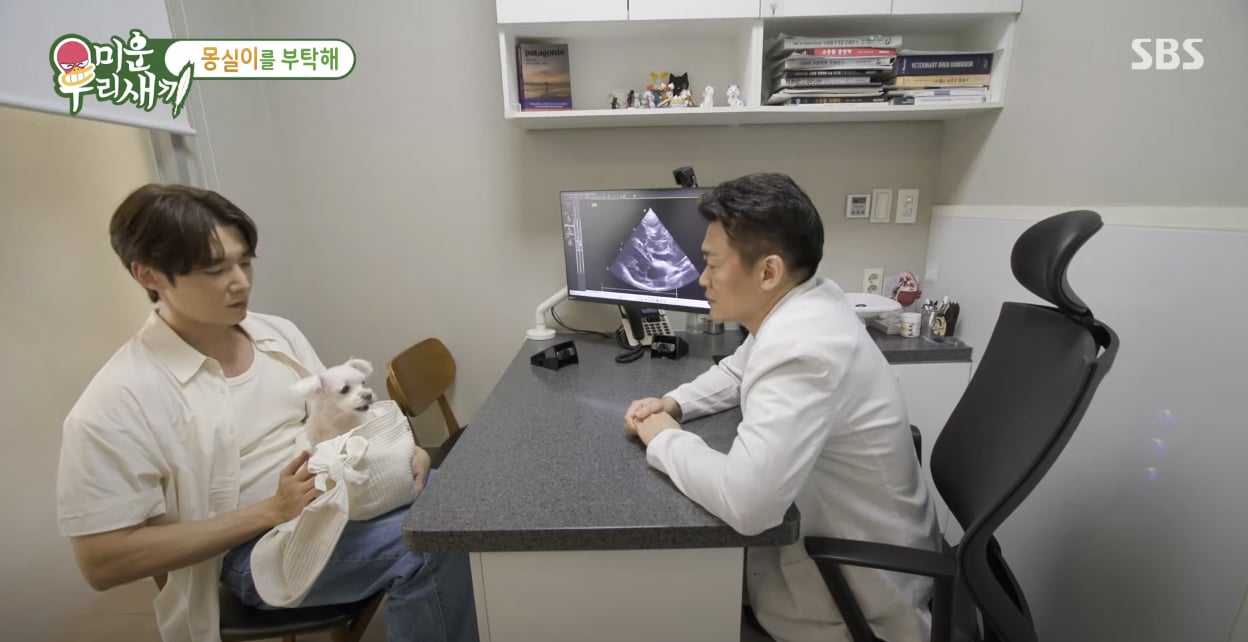 “Only 1 to 2 weeks to live,” Choi Jin Hyuk gets emotional after his dog is diagnosed with terminal cancer