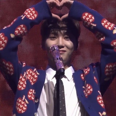 NMIXX, Haewon, Seventeen, Seungkwan